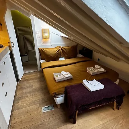 Marais Rooftop Studio - Metro Filles Du Calvaire Appartamento *